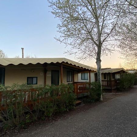 Zona Rosa 5 Chalet Mit Klimaanlage Und Wlan Виареджо Екстериор снимка